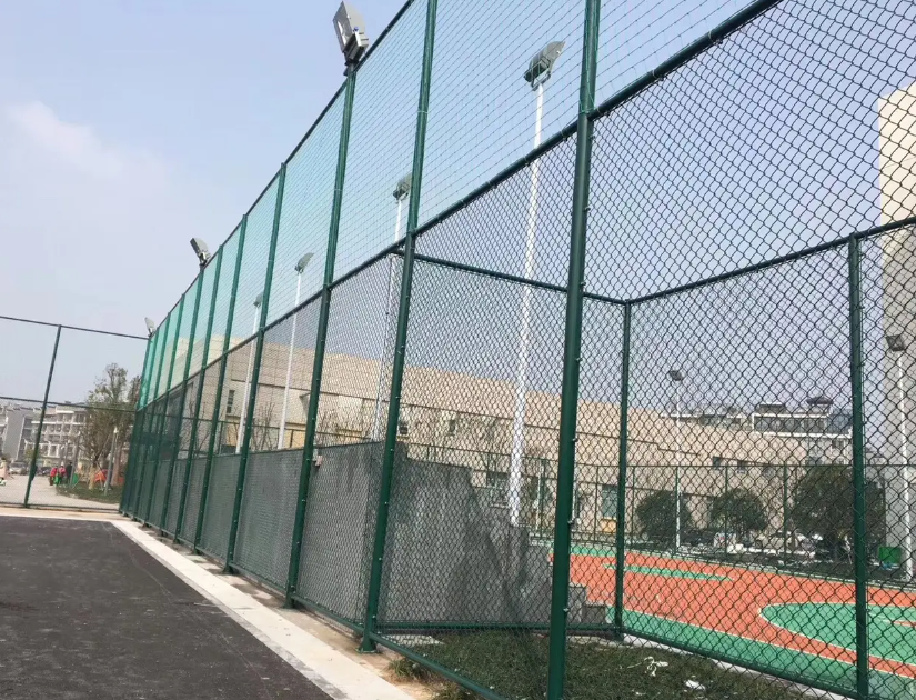 青阳球场护栏网