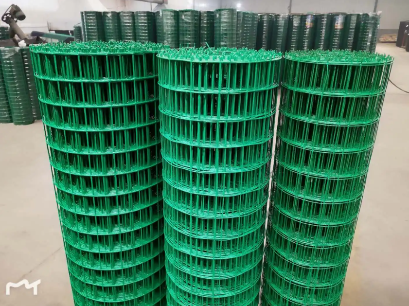 青阳荷兰网